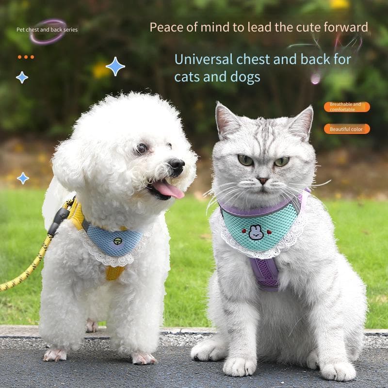 Coleira de cachorro fofa, toalha de Saliva, alça peitoral para cães pequenos e médios, alça peitoral ajustável, Bichon T