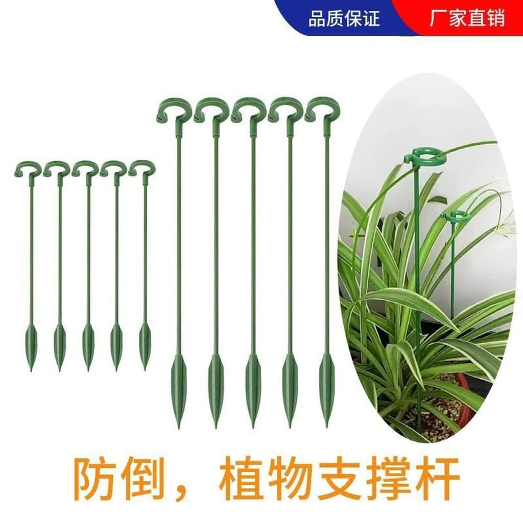 Chlorophytum suporte de flor especial suporte de modelagem suporte de haste suporte de flor suculenta Anti-reverso quadr
