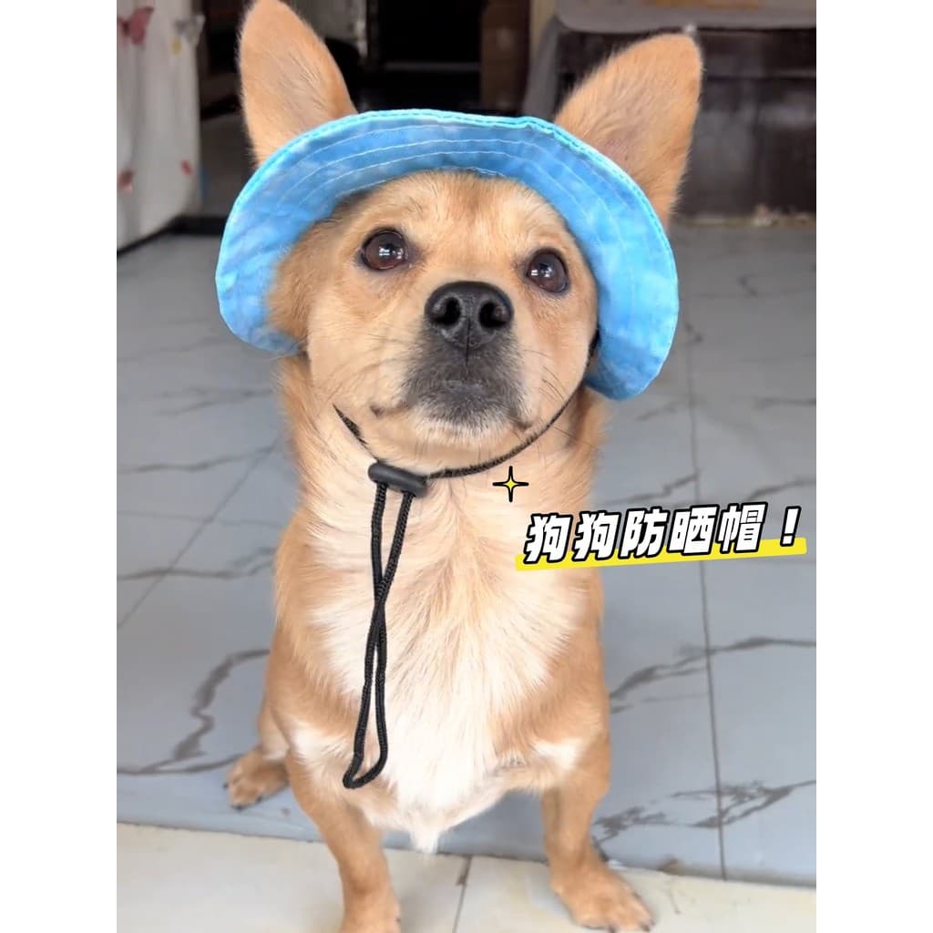 Chapéu de sol para cachorro com orelhas expostas, chapéu de sol para animais de estimação, grande, médio e pequeno, chap