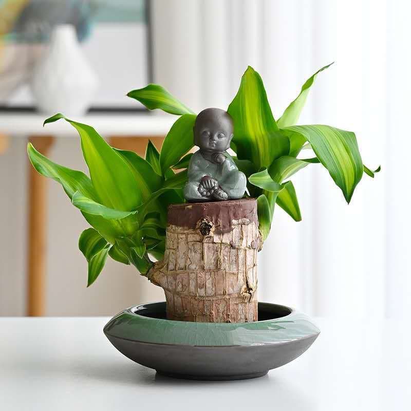 Brother forno de cerâmica preguiçoso vaso atacado areia roxa suculenta vaso criativo planta verde vaso madeira brasileir