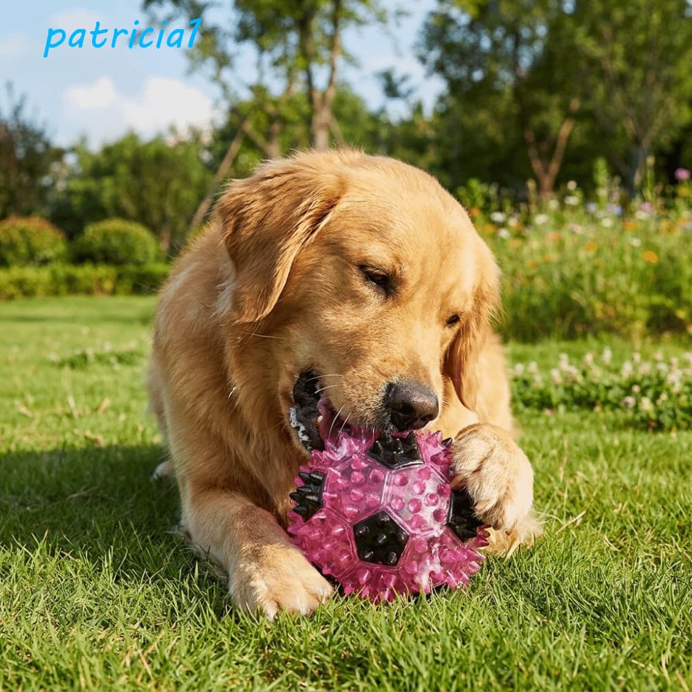 PATRICIA1 Bola De Mastigar Para Cachorro , Salto Resistente À Mordida , Brinquedo Animais De Estimação TPR Elástico
