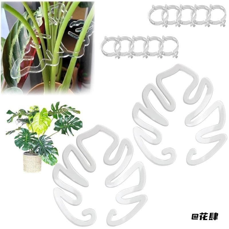Jardinagem ao ar livre planta haste decoração raiz flor haste fixação clipe especial planta suporte quadro acrílico plan