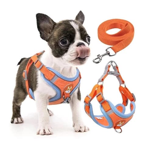 Coleira Peitoral Cachorro E Gato, Conjunto De Guia + Coleira Tipo Colete Para Pet Pequenos E Médios