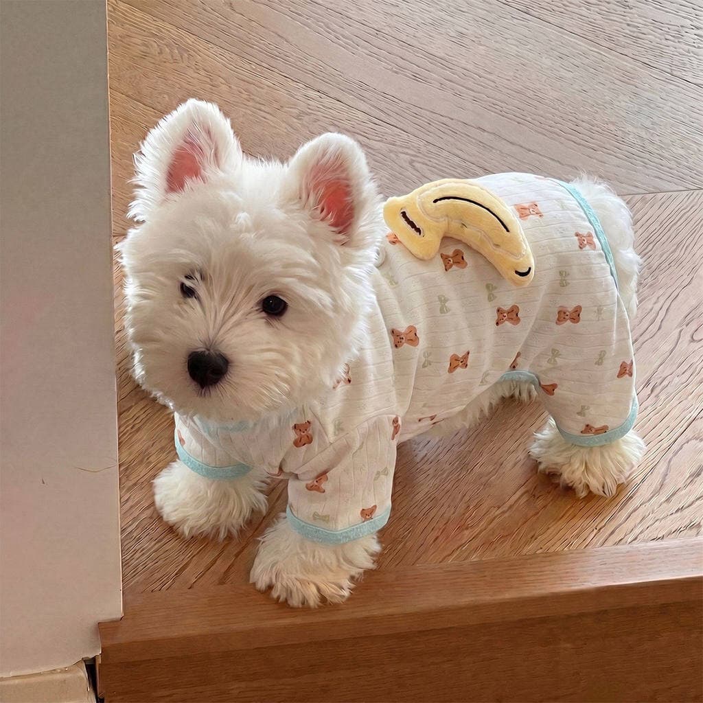 Filhote de cachorro roupas para cães verão estilo fino gato Schnauzer pequeno cão roupas de quatro patas anti-lint anti-