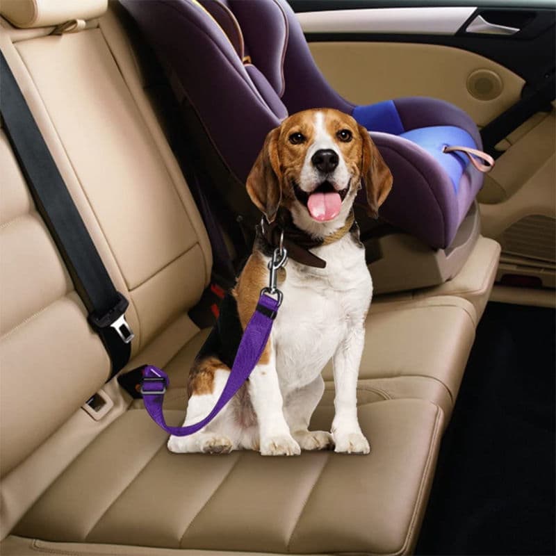 Coleira de segurança retrátil ajustável para animais de estimação, para uso em carro, adequada para cães, YWZP.
