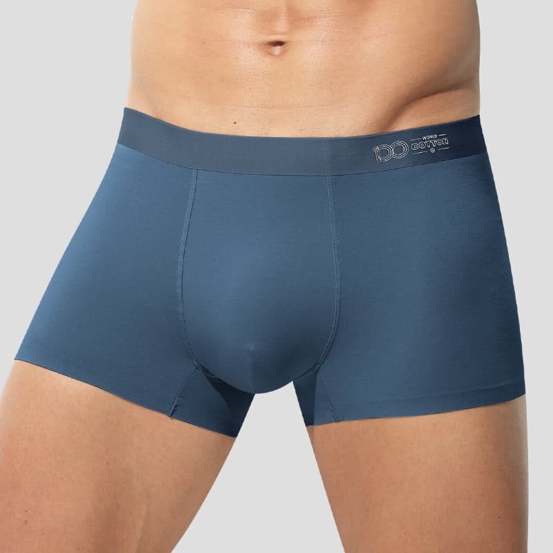 Cuecas Masculinas Novas de Alta Qualidade, Sem Costura, em Algodão Antibacteriano, Estilo Esportivo Respirável para Adol