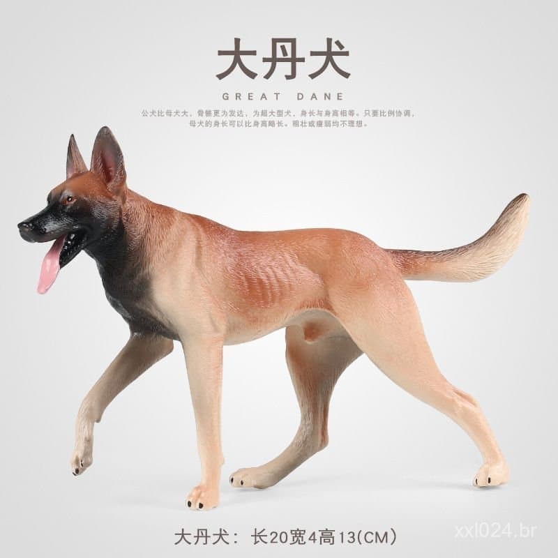 Brinquedo de animal selvagem simulado, modelo de cão Dogue Alemão, cão de montanha Bernês, ornamento educativo infantil