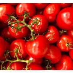 200 sementes 400 sementes 1000 sementes de Tomate Hibrido Pepita Super Doce Saboroso Hortas Saladas