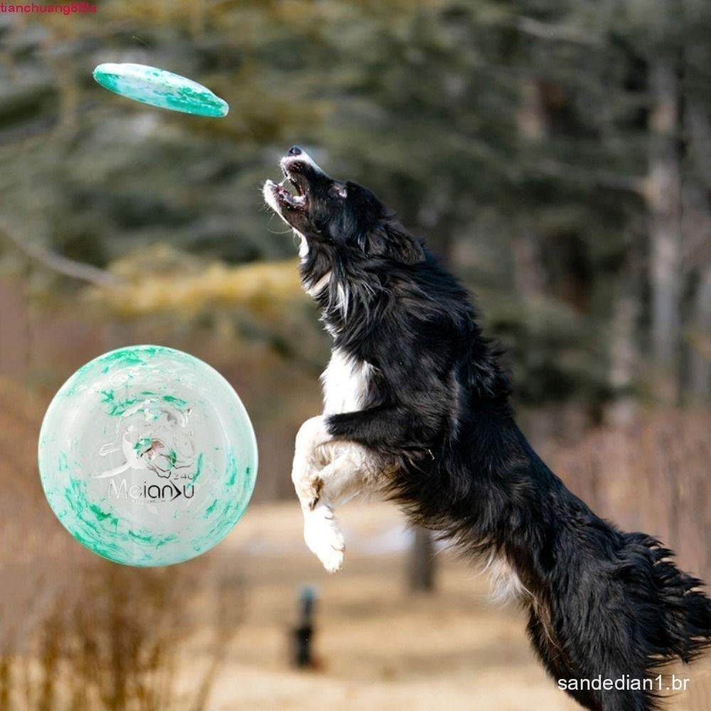 Brinquedo para Cães TIANCHUANG, Disco Voador Colorido de 24 cm, Brinquedo Flutuante Macio para Animais de Estimação QF9G