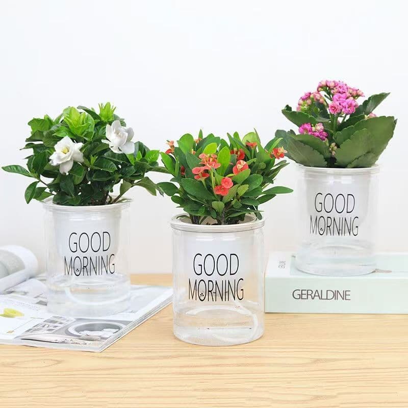 Vaso de mesa automático com absorção de água, vaso de flores preguiçoso, bom dia, hidroponia, regador, plantas verdes