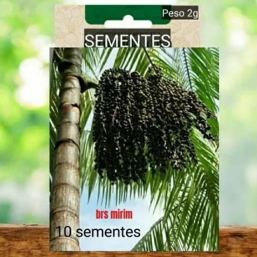 Kit SEMENTES AÇAÍ BRS EMBRAPA ANAO plante vaso Jardim. horta  OFERTA #10