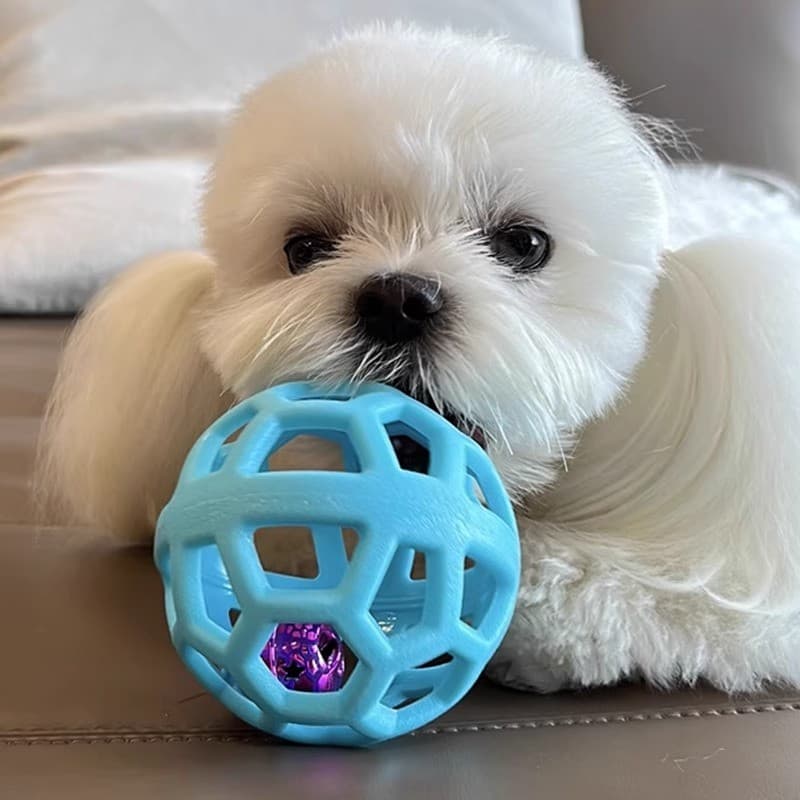 Bola de brinquedo para cachorro, ferramenta útil para alívio do tédio, consumo de animais de estimação, força física, bo