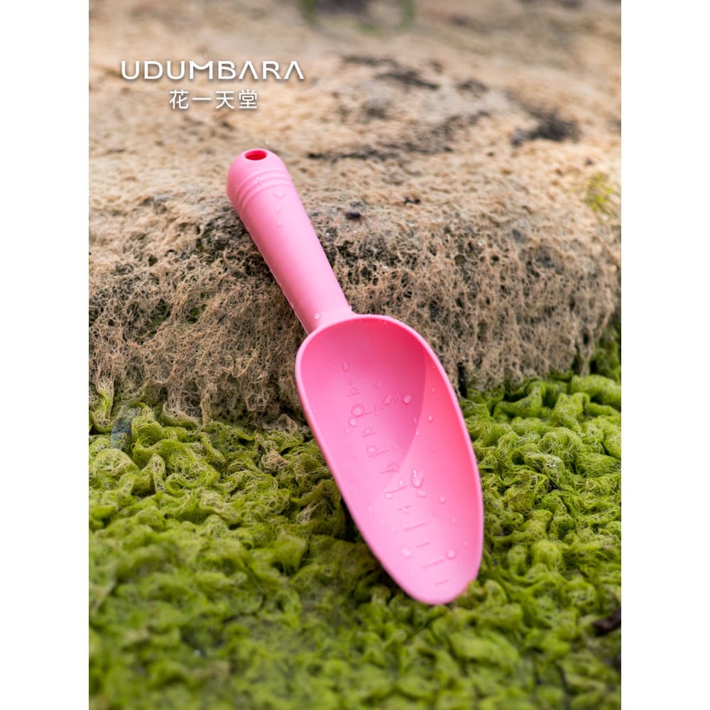 Suculentas ferramentas de plantio pá de solo com escala casa jardinagem vasos flores superior vaso flor pá Multi-cor opc