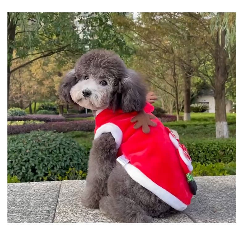 Roupas de Outono para Animais de Estimação, Roupas de Natal para Cães, Roupas de Natal para Gatos, Roupas de Outono e In