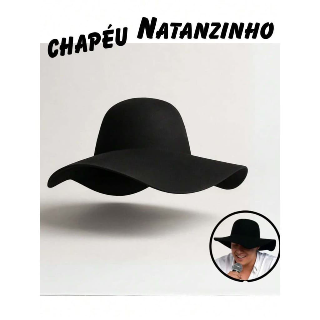 Chapeu Natanzinho Caminhoneiro de Feltro Sertanejo Cata Ovo Unissex Novo aba mole