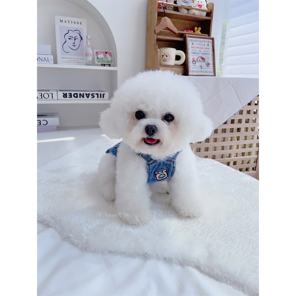 Roupas para cães Tractionable lavável Denim cinta saia colete primavera outono pequeno cão Bichon Teddy Pomeranian