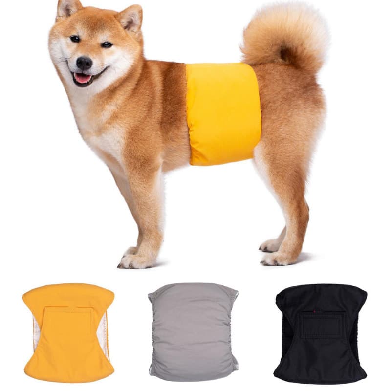 Cinta fisiológica para cães, fralda absorvente para cães machos, faixa abdominal para cães para ambientes com ar condici