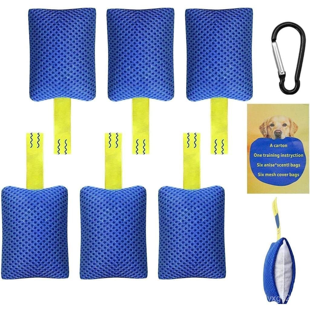 Kit de Treinamento de Olfato Interativo, Treinador de Agilidade, Equipamento de Treinamento com Design Robusto, Kit de T