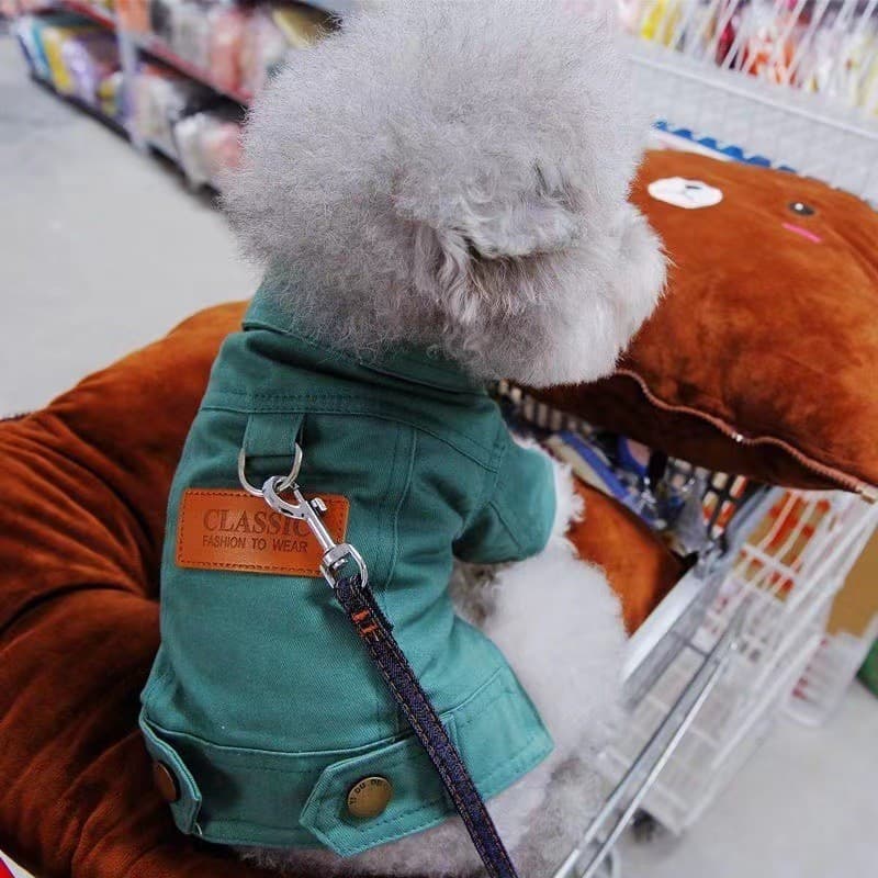 Casaco Para Cachorro De Estimação Com Anel D Primavera Verão Roupas Cães Pequenos E Médios Cachorros Jaqueta Chihuahua Y