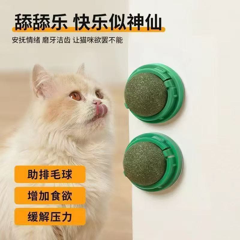 Bola gato brinquedo gato gatinho brinquedo gato Molar teaser Catnip brinquedo teaser auto-feliz