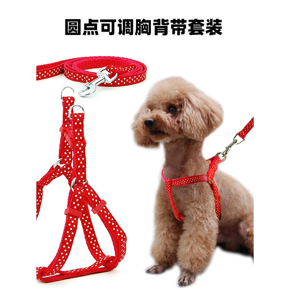 Coleira para animais de estimação, coleira para cães, mãos dadas, ponto de puxar, conjunto de cinta peitoral, coleira de