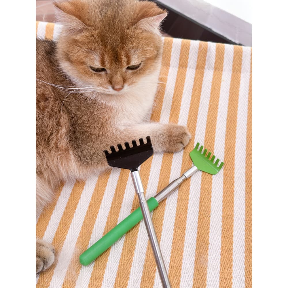 Gato coceira gato provocando vara brinquedo gato massagem interativo aliviar o tédio coçar gato ferramenta útil escova d