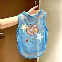 Cão roupas legais azul real xadrez maçã estrela impresso malha colete gato Corgi pequeno cão de tamanho médio primavera