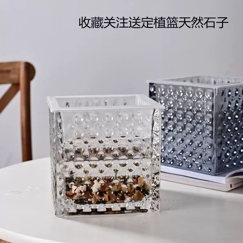 Vaso de vidro quadrado transparente grosso inserção de água verde Raven bambu sala de estar mobiliário doméstico cultivo