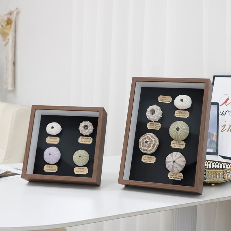 Mar ouriço concha atmosfera luz artesanal diy produção artesanato ornamentos moldura de foto High-End Desktop presente d
