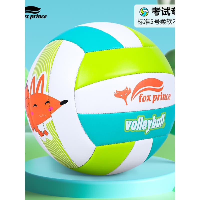 FOX Firefox No. 5 voleibol júnior exame de admissão ao ensino médio estudantes dedicados estudantes do ensino médio femi