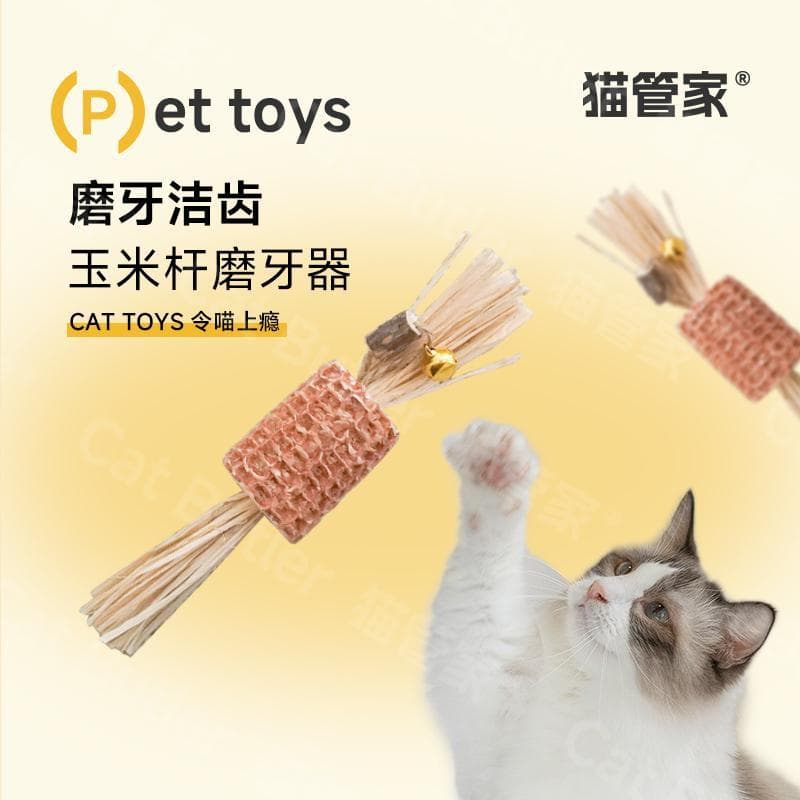 Varas para gatos polygonum polygonum Molar varas gatinhos limpos lanches orais auto-felizes brinquedos para gatos varas