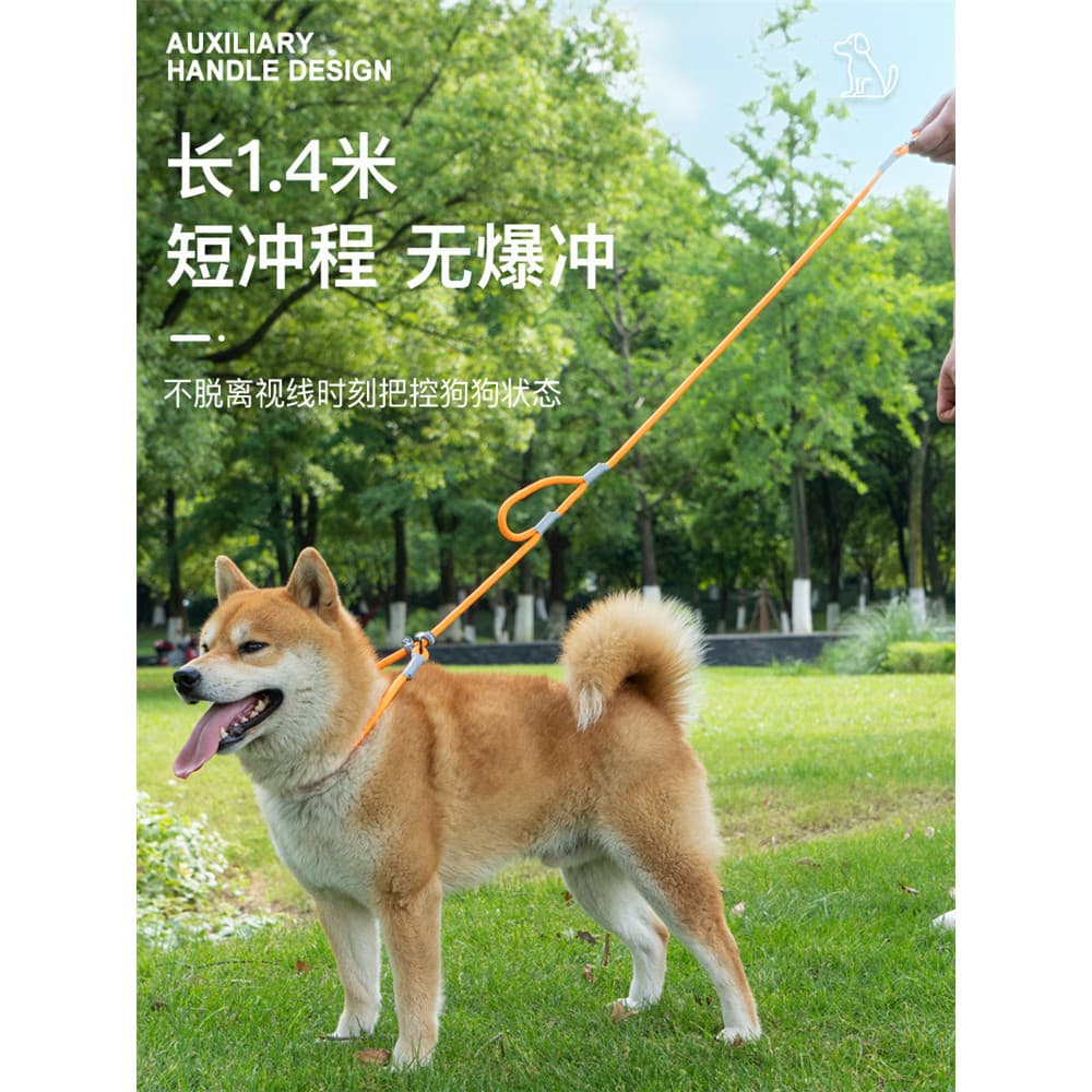Coleira para cães Coleira para cães à prova de explosão Okinawa Coleira para caminhada para cães pequenos, médios e gran