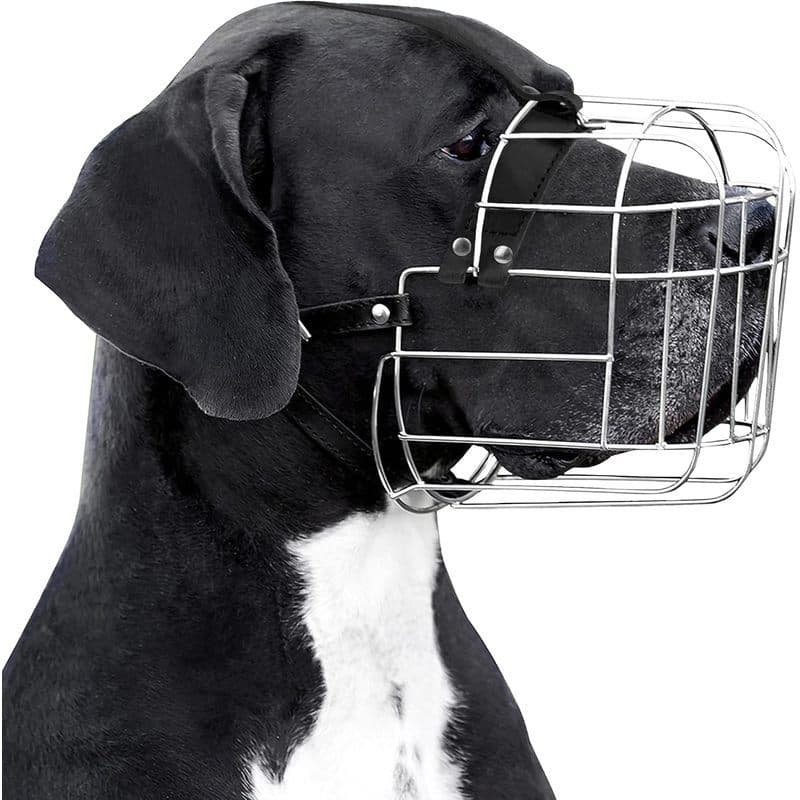 Focinho De Cachorro Com Cesta De Arame De Aço Inoxidável BRONZEDOG Para Cães Grandes E