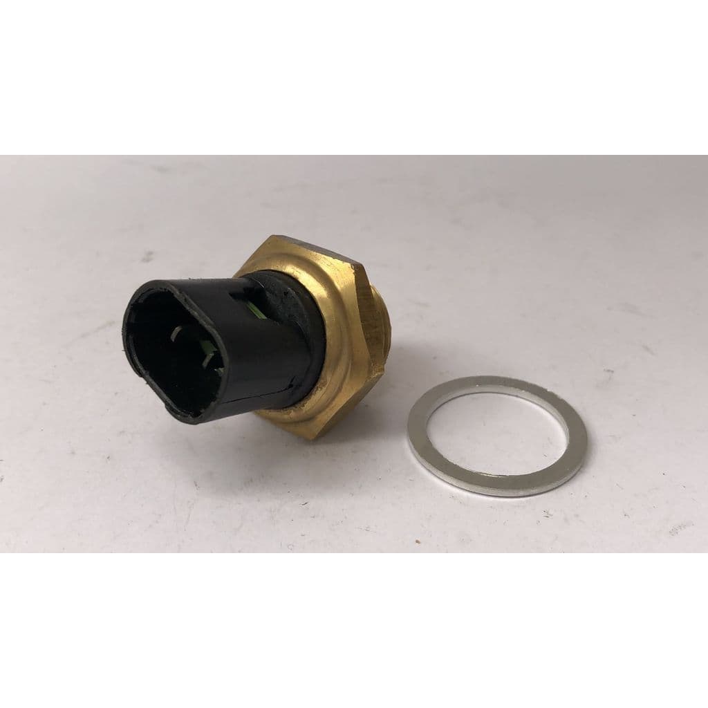 INTERRUPTOR TÉRMICO LAGUNA MASTER MEGANE R19 SCENIC