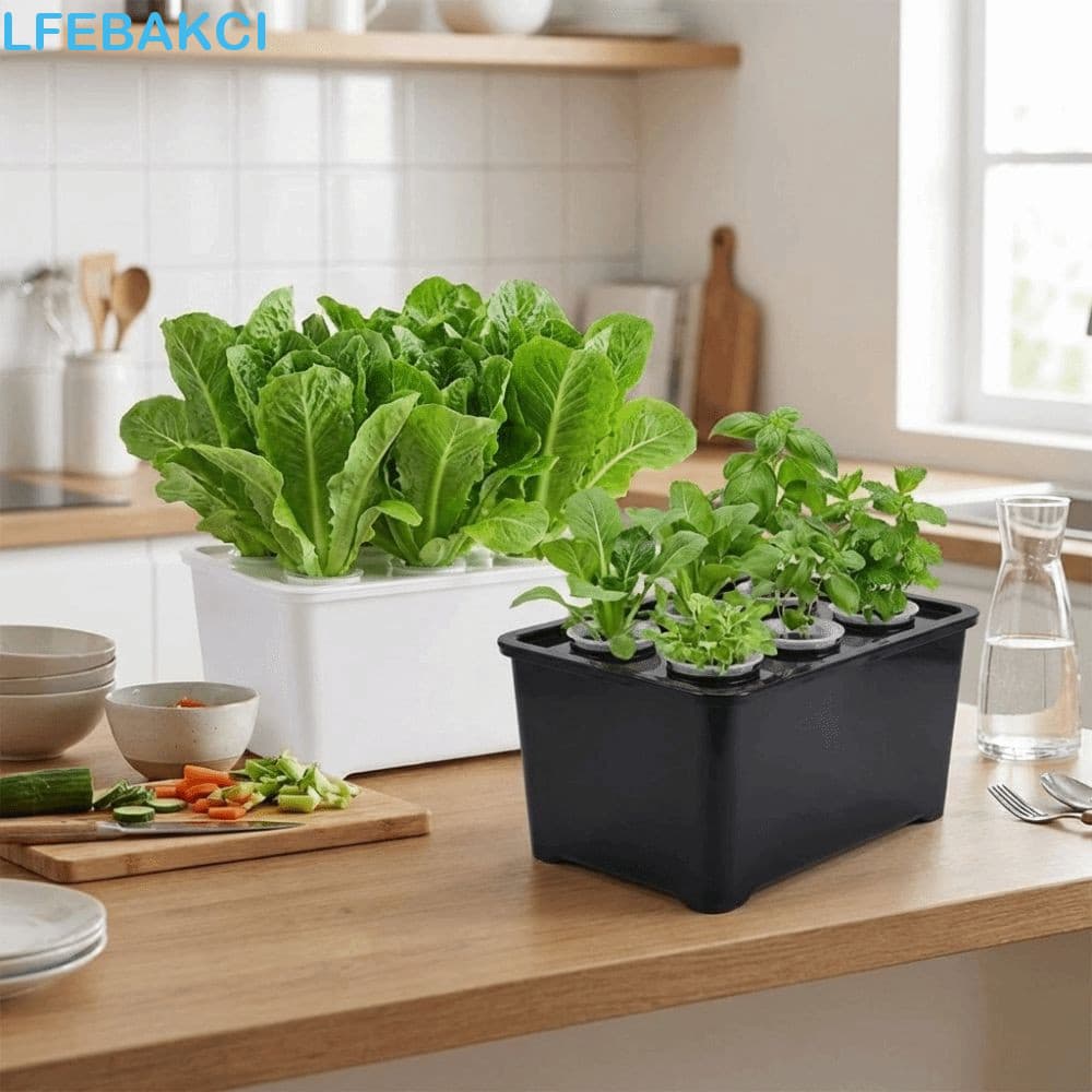 Kit De Cultivo Hidropônico LFEBAKCI , Caixa De Plantio Sem Solo De Plástico Com Rega Automática , 6 Furos