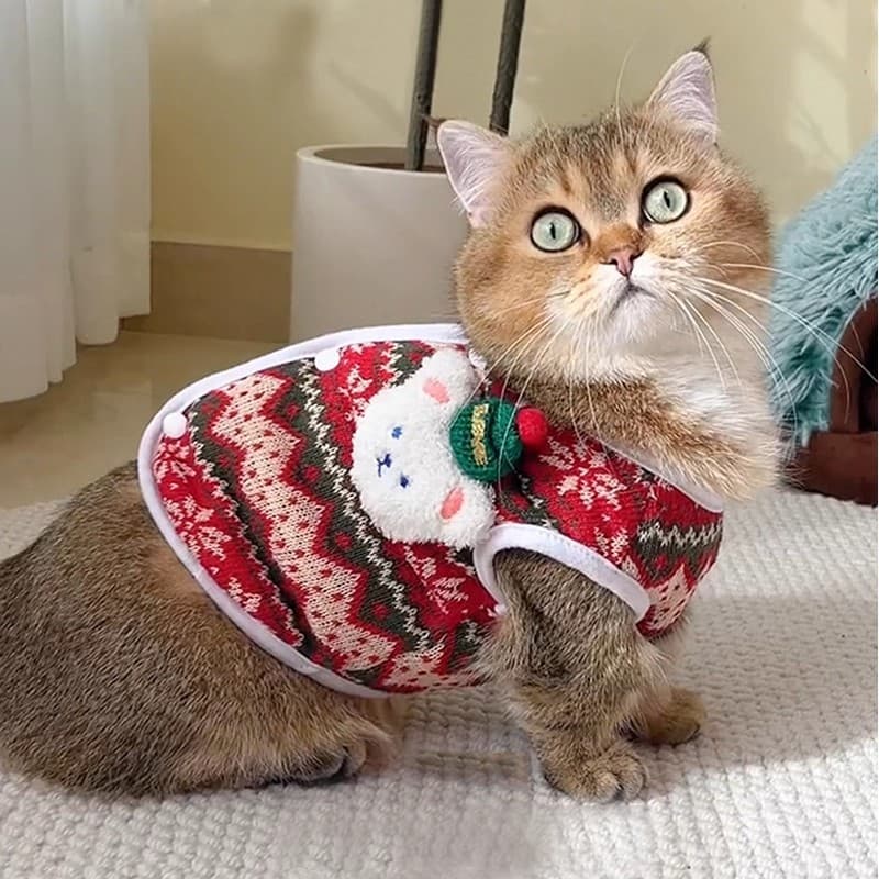 Gato roupas de gato outono inverno quente colete velo à prova de fiapos natal ano novo camisola Muppets gato azul filhot