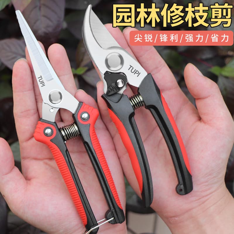 Japão japão importado aço inoxidável tesouras de jardinagem tesouras de poda ramos especiais tesouras de poda