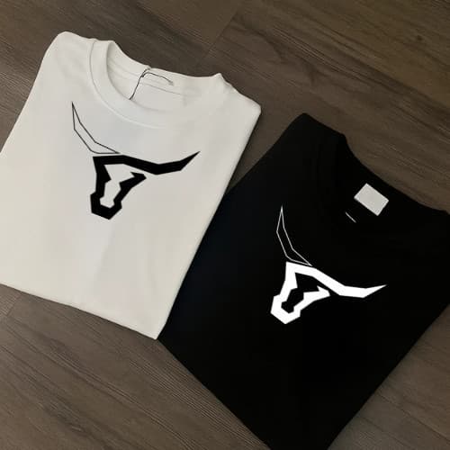 Kit com 2 Camisetas Atx Longhorn 100% Fio 30.1 Algodão Camisa Texas Country Rodeio Blusa Unissex Várias Cores