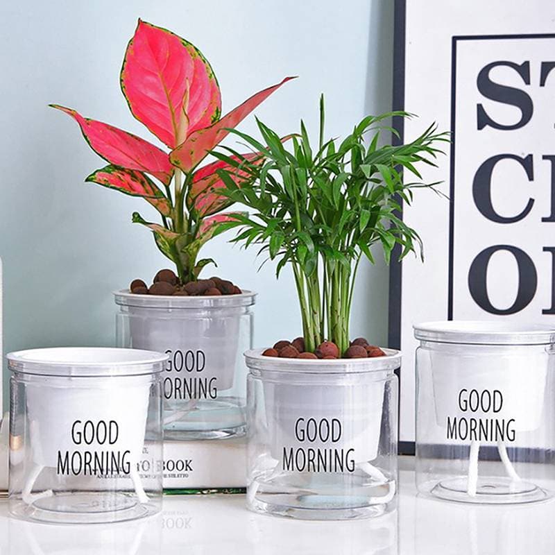 [newpros] Mini Vaso De Flores Com Rega Automática Tanque De Peixes Vasos De Plantas De Plástico Transparente Planta Para