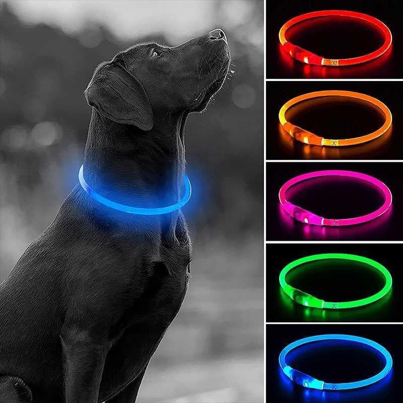 Coleira luminosa para animais de estimação, coleira luminosa para cães e gatos, coleira para cães com luz LED para uso n
