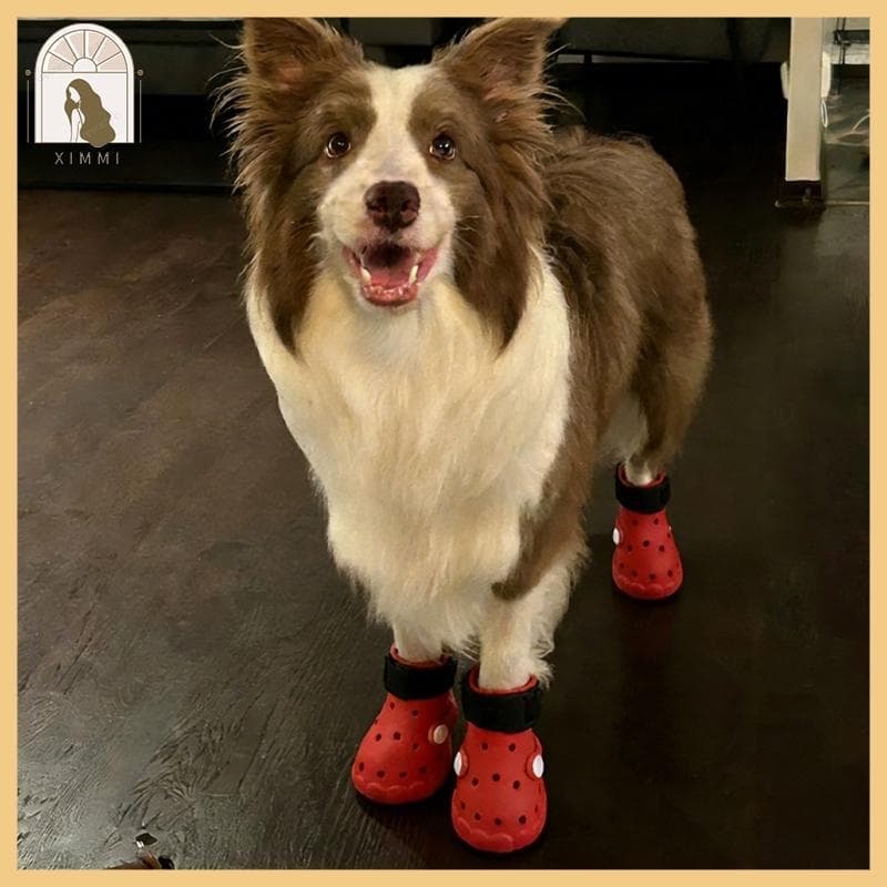 * XIMM * Capa Para Pés Animais Estimação City Wear 4 Sapatos Cães Entrada Envoltória E Parte Superior A