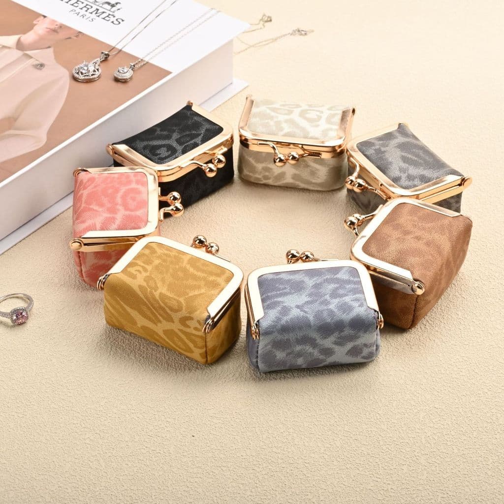 2026 Novo estilo pronto estoque Mini bolsa de joias com estampa de leopardo anel colar batom bolsa de moedas brincos ane