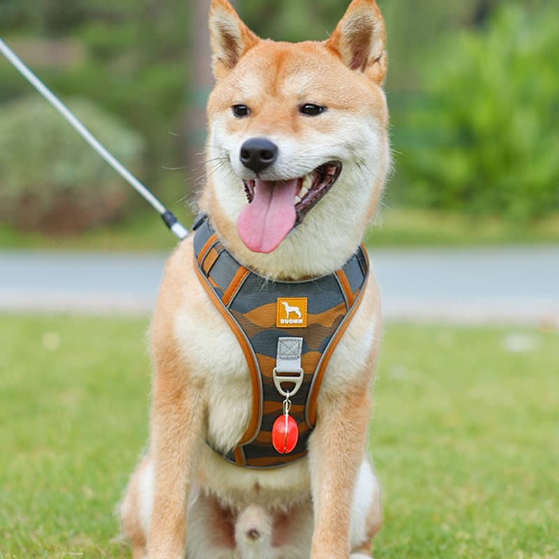 Corda de tração para cães, tipo colete ajustável, cinta peitoral para animais de estimação, Shiba Inu, médio e grande, à