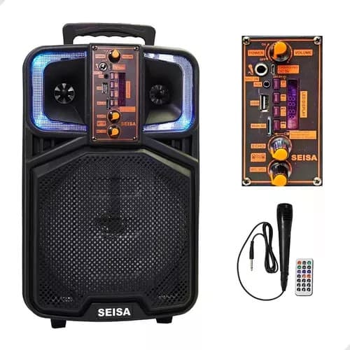 Caixa De Som SEISA  Microfone e Controle de luzes led  Usb Microfone E Bluetooth Karaokê  2000W 8 polegadas
