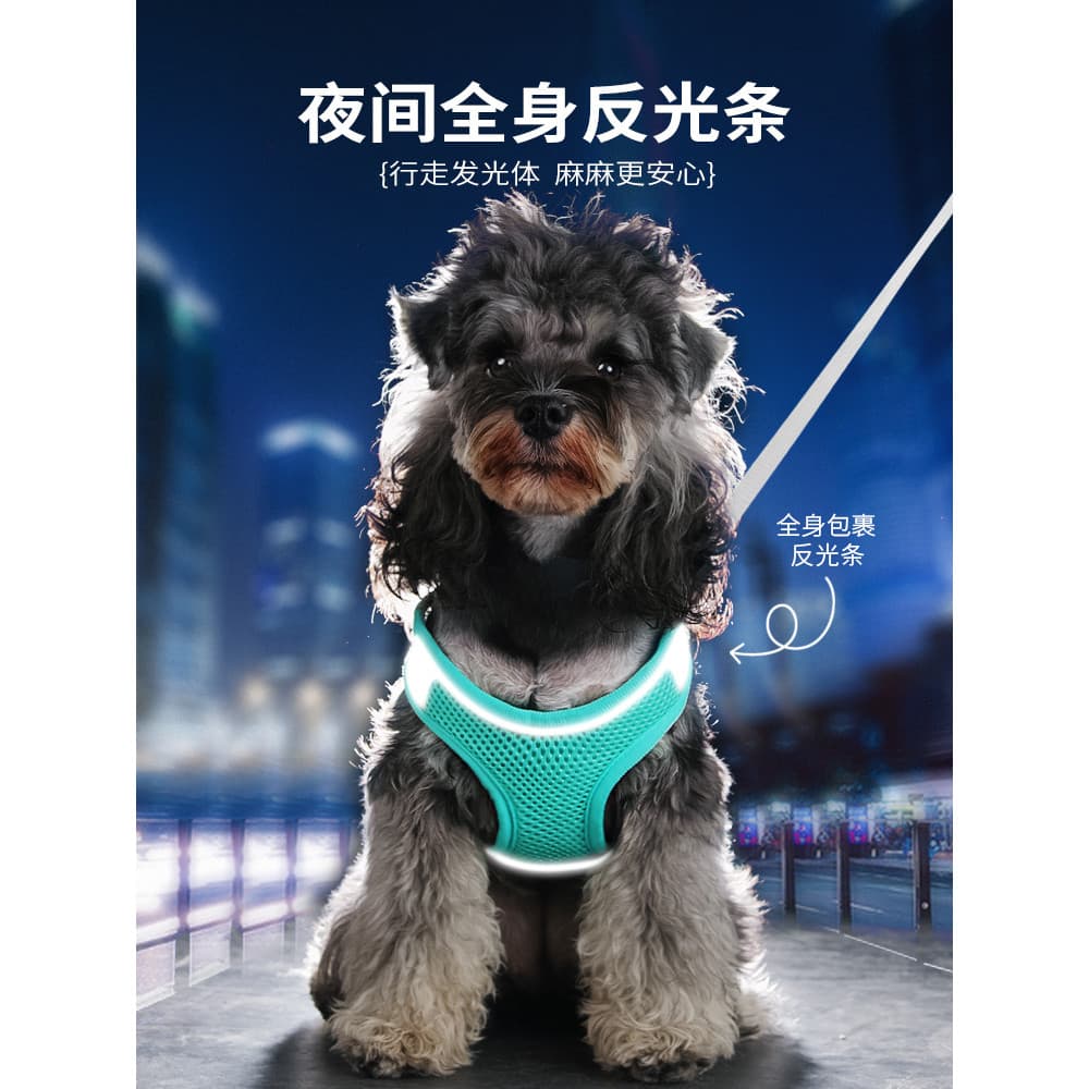 Coleira tipo colete para cachorro, coleira para cachorro pequeno, Bichon, pomerânia, cinta peitoral, filhote de cachorro