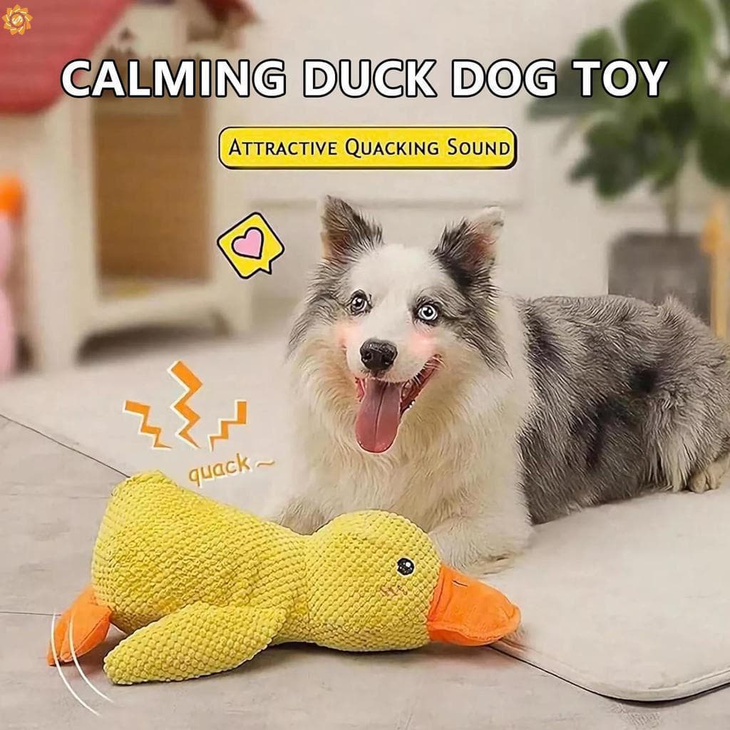 Cão Rangido Pato Brinquedo De Pelúcia Ao Ar Livre Brinquedos Interativos Para Cães Adequados Gato Gatinho Suprimentos