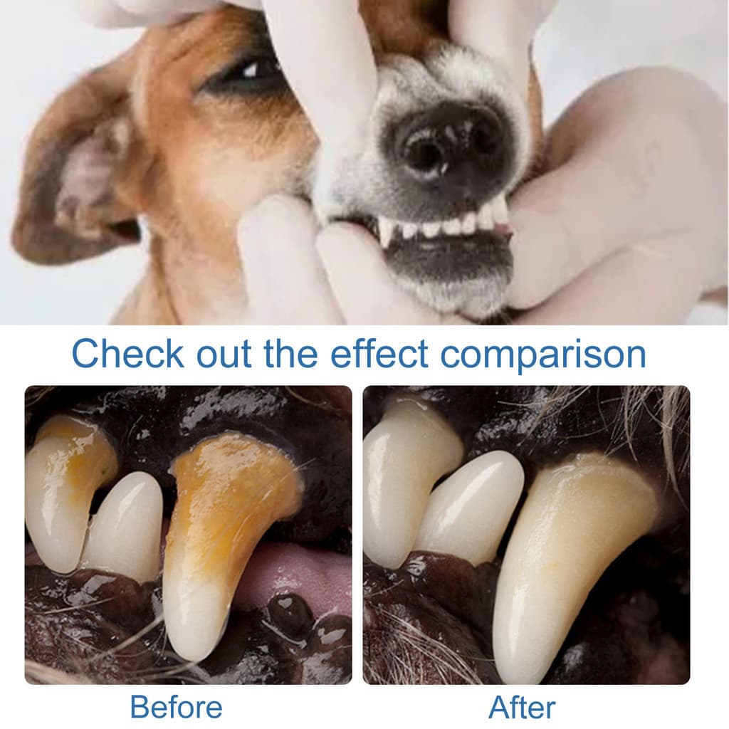 YEGBONG espuma para animais de estimação, espuma de limpeza Oral, descontaminação limpa suavemente os dentes, Remove age