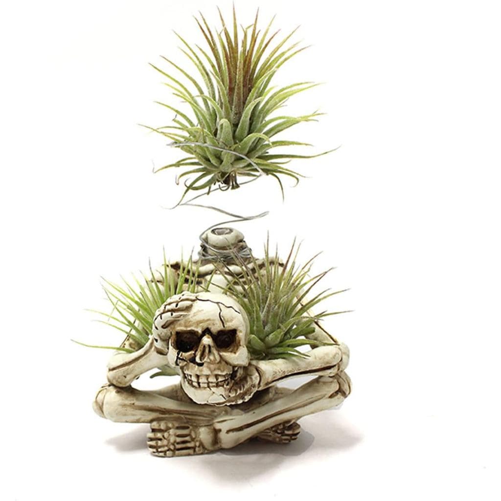 Suportes para Plantas Aéreas em Resina com Formato de Esqueleto, Vaso Gótico em Forma de Esqueleto, Vaso para Plantas de