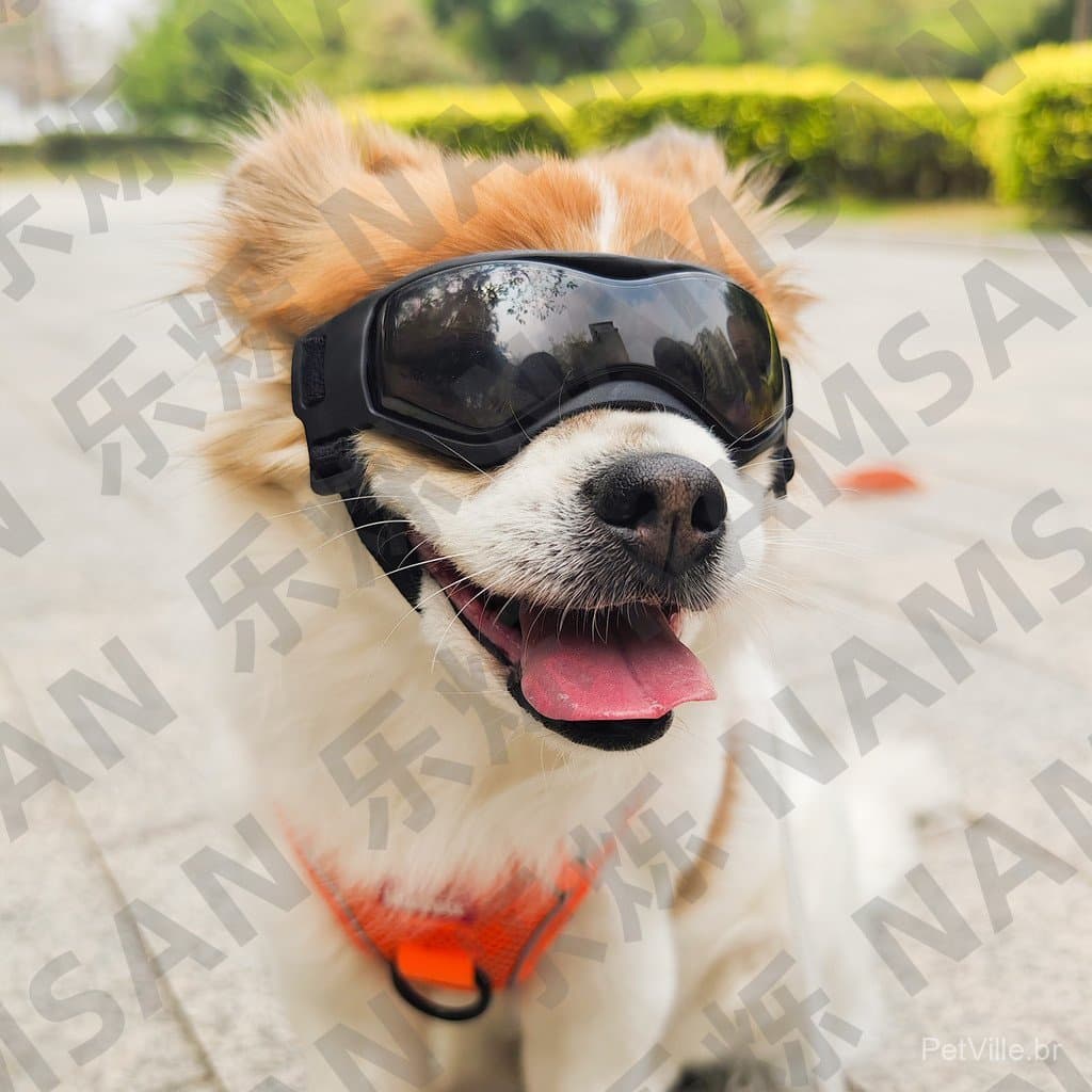 Novos óculos de sol legais para animais de estimação, armação macia Anti-ultravioleta, óculos universais para cães e gat