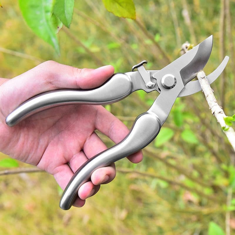 Tesoura de poda de poda, aço inoxidável, jardinagem, novo estilo, tesoura para árvores frutíferas, jardim, forte